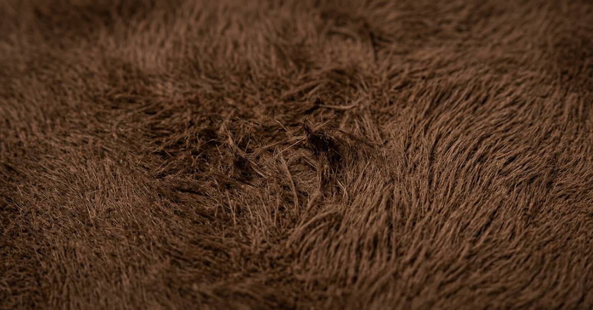 Detail povrchu semišové kůže